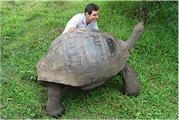 Ludovic Hubler Image with a turtle